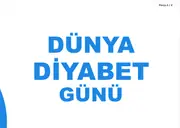 14 Kasım Dünya Diyabet Günü Pano ve Etkinlik Paketi — 12. sayfa