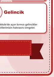 18 Mart Şehitler Günü Dev Panosu (12 parça · 84 × 89 cm) — 13. sayfa