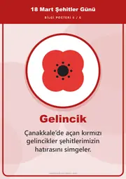 18 Mart Şehitler Günü Pano Şeridi ve 6 Bilgi Posteri (8 parça · 84 × 59 cm) — 15. sayfa