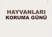 4 Ekim Dünya Hayvanları Koruma Günü Pano ve Etkinlik Paketi — 12. sayfa