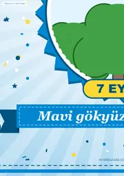 7 Eylül Uluslararası Temiz Hava Günü Pano Şeridi ve 6 Bilgi Posteri (8 parça · 84 × 59 cm) — 7. sayfa
