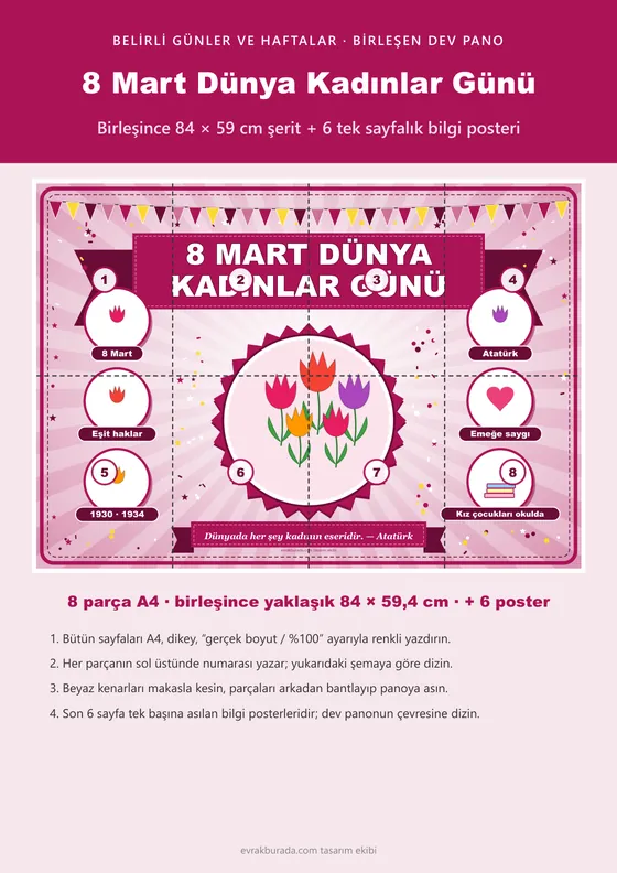 8 Mart Dünya Kadınlar Günü Pano Şeridi ve 6 Bilgi Posteri (8 parça · 84 × 59 cm) kapağı