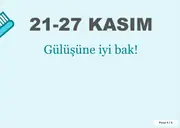 Ağız ve Diş Sağlığı Haftası Pano ve Etkinlik Paketi — 14. sayfa