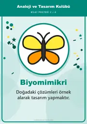 Analoji ve Tasarım Kulübü Pano Şeridi ve 6 Bilgi Posteri (8 parça · 84 × 59 cm) — 11. sayfa