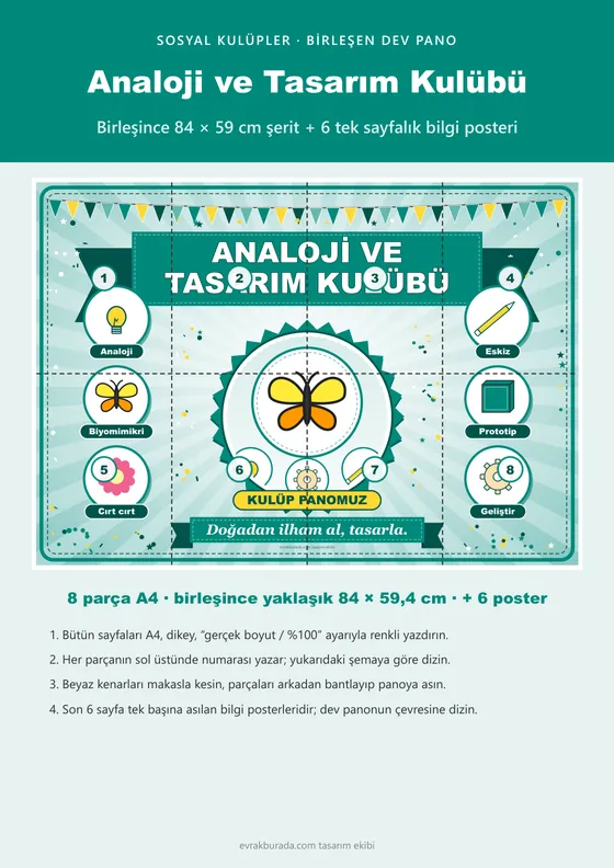 Analoji ve Tasarım Kulübü Pano Şeridi ve 6 Bilgi Posteri (8 parça · 84 × 59 cm) kapağı