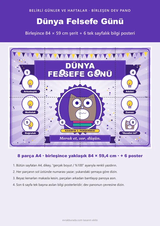 Dünya Felsefe Günü Pano Şeridi ve 6 Bilgi Posteri (8 parça · 84 × 59 cm) kapağı