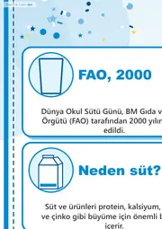 Dünya Okul Sütü Günü Dev Panosu (12 parça · 84 × 89 cm) — 6. sayfa