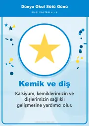 Dünya Okul Sütü Günü Pano Şeridi ve 6 Bilgi Posteri (8 parça · 84 × 59 cm) — 13. sayfa