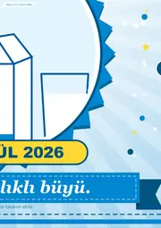 Dünya Okul Sütü Günü Pano Şeridi ve 6 Bilgi Posteri (8 parça · 84 × 59 cm) — 8. sayfa