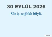 Dünya Okul Sütü Günü Pano ve Etkinlik Paketi — 14. sayfa