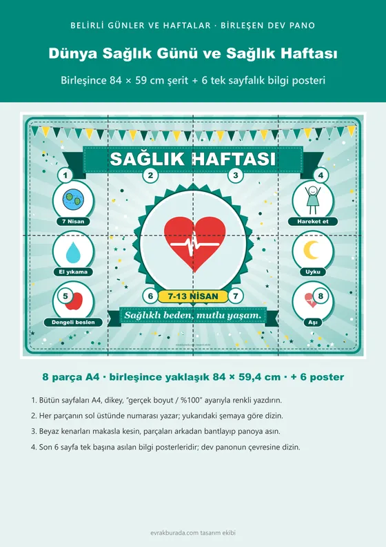 Dünya Sağlık Günü ve Sağlık Haftası Pano Şeridi ve 6 Bilgi Posteri (8 parça · 84 × 59 cm) kapağı