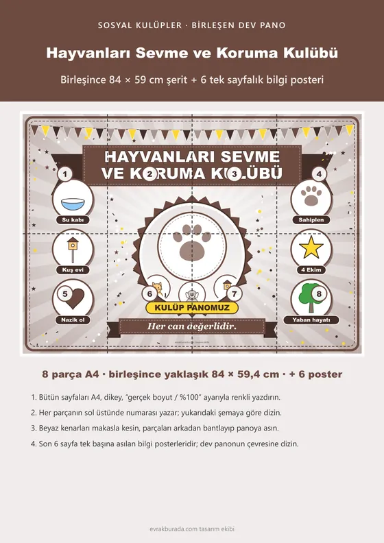 Hayvanları Sevme ve Koruma Kulübü Pano Şeridi ve 6 Bilgi Posteri (8 parça · 84 × 59 cm) kapağı