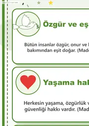 İnsan Hakları ve Demokrasi Haftası Dev Panosu (12 parça · 84 × 89 cm) — 6. sayfa