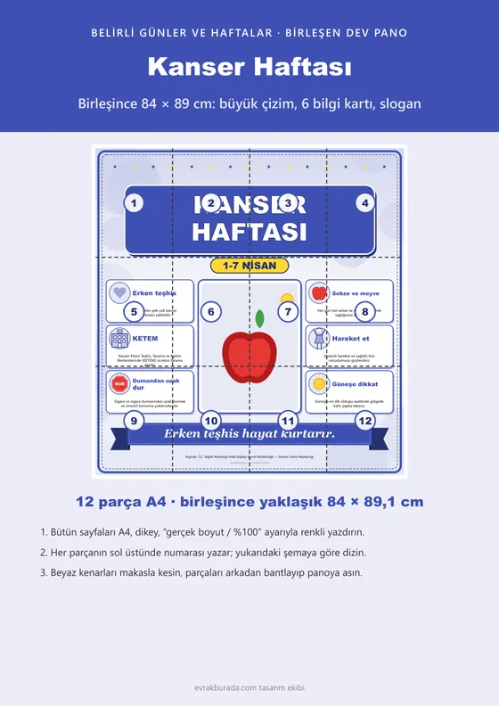 Kanser Haftası Dev Panosu (12 parça · 84 × 89 cm) kapağı