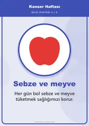 Kanser Haftası Pano Şeridi ve 6 Bilgi Posteri (8 parça · 84 × 59 cm) — 13. sayfa