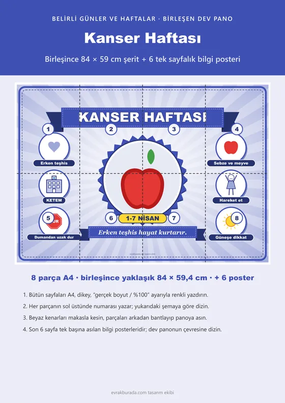 Kanser Haftası Pano Şeridi ve 6 Bilgi Posteri (8 parça · 84 × 59 cm) kapağı