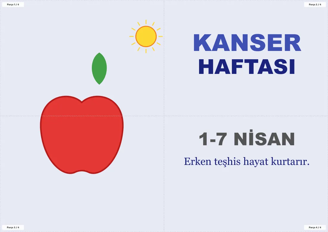 Kanser Haftası Pano ve Etkinlik Paketi birleşik görünüm