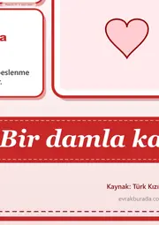 Kızılay Kulübü Dev Panosu (12 parça · 84 × 89 cm) — 11. sayfa