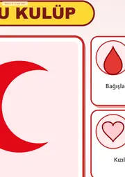 Kızılay Kulübü Dev Panosu (12 parça · 84 × 89 cm) — 8. sayfa