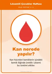 Lösemili Çocuklar Haftası Pano Şeridi ve 6 Bilgi Posteri (8 parça · 84 × 59 cm) — 12. sayfa