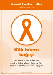 Lösemili Çocuklar Haftası Pano Şeridi ve 6 Bilgi Posteri (8 parça · 84 × 59 cm) — 13. sayfa