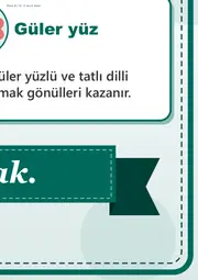 Mevlid-i Nebî Haftası Dev Panosu (12 parça · 84 × 89 cm) — 13. sayfa