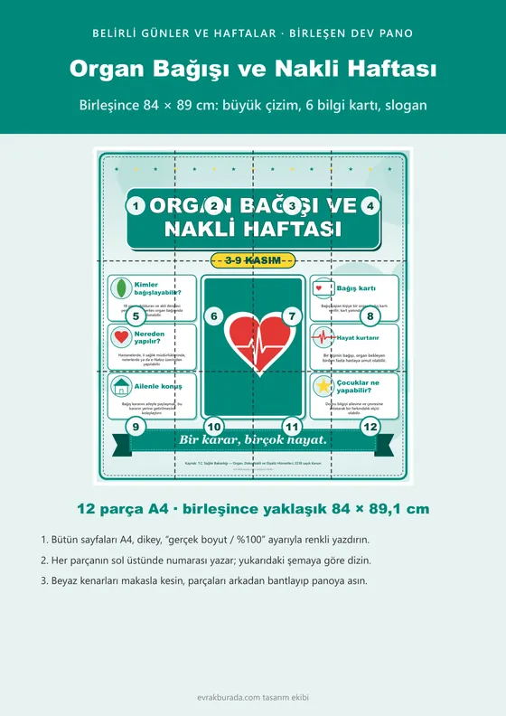 Organ Bağışı ve Nakli Haftası Dev Panosu (12 parça · 84 × 89 cm) kapağı