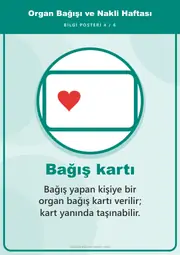 Organ Bağışı ve Nakli Haftası Pano Şeridi ve 6 Bilgi Posteri (8 parça · 84 × 59 cm) — 13. sayfa