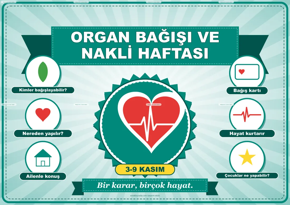 Organ Bağışı ve Nakli Haftası Pano Şeridi ve 6 Bilgi Posteri (8 parça · 84 × 59 cm) birleşik görünüm