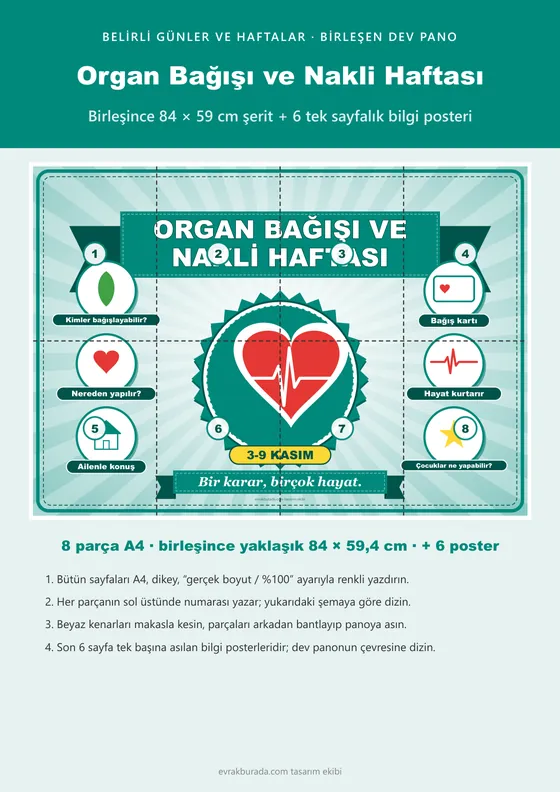 Organ Bağışı ve Nakli Haftası Pano Şeridi ve 6 Bilgi Posteri (8 parça · 84 × 59 cm) kapağı