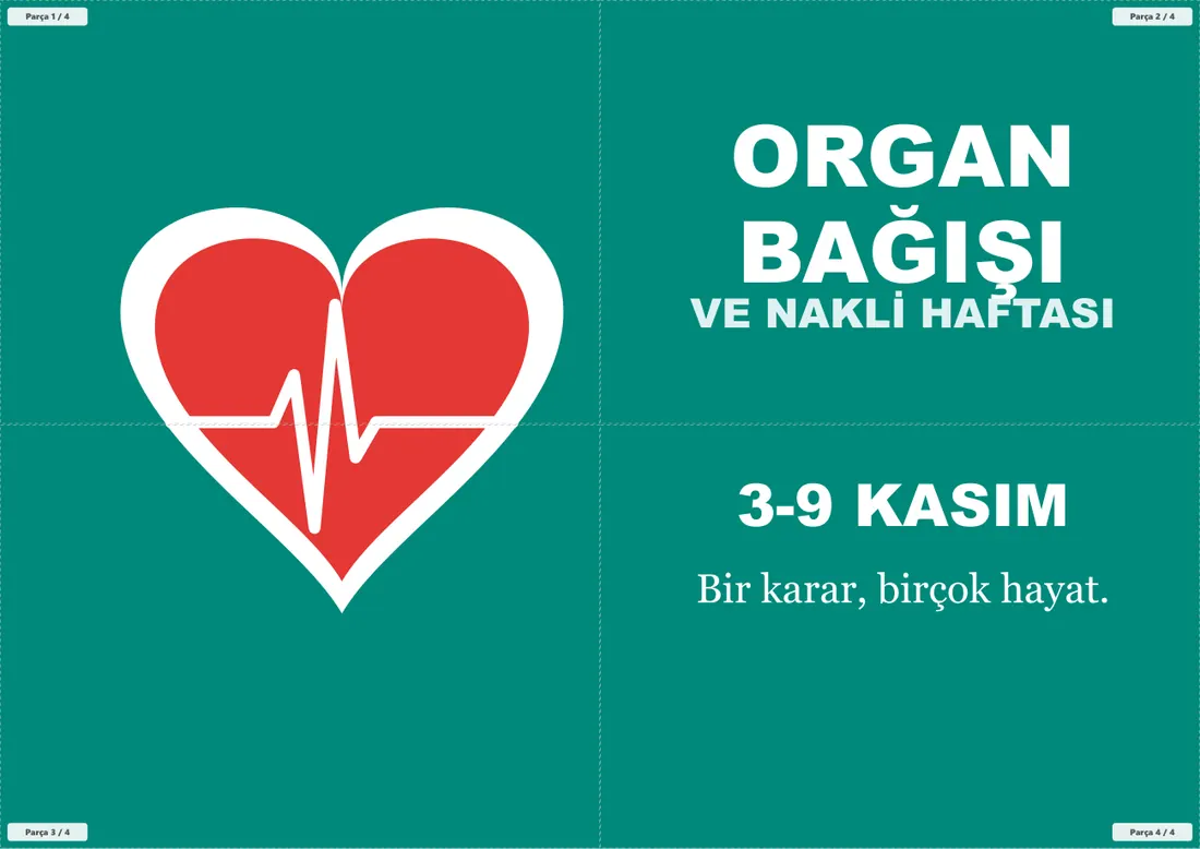 Organ Bağışı ve Nakli Haftası Pano ve Etkinlik Paketi birleşik görünüm