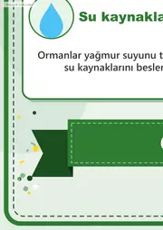 Orman Haftası Dev Panosu (12 parça · 84 × 89 cm) — 10. sayfa
