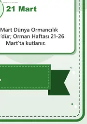 Orman Haftası Dev Panosu (12 parça · 84 × 89 cm) — 13. sayfa