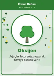 Orman Haftası Pano Şeridi ve 6 Bilgi Posteri (8 parça · 84 × 59 cm) — 10. sayfa
