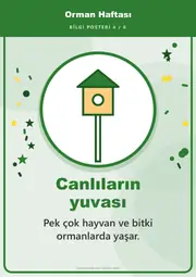 Orman Haftası Pano Şeridi ve 6 Bilgi Posteri (8 parça · 84 × 59 cm) — 13. sayfa