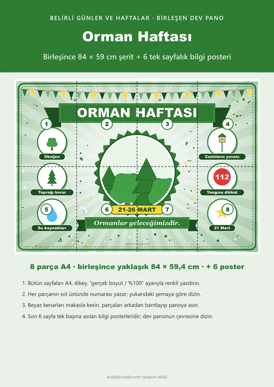 Orman Haftası Pano Şeridi ve 6 Bilgi Posteri (8 parça · 84 × 59 cm) kapağı