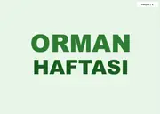 Orman Haftası Pano ve Etkinlik Paketi — 12. sayfa