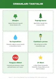Orman Haftası Pano ve Etkinlik Paketi — 8. sayfa