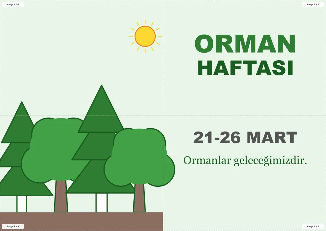 Orman Haftası Pano ve Etkinlik Paketi birleşik görünüm