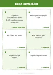 Tabiat ve Yaşanabilir Çevre Kulübü Panosu — 8. sayfa