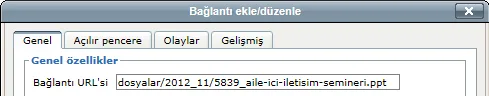 Bağlantı ekle/düzenle penceresi: Bağlantı URL’si alanında dosya yolu